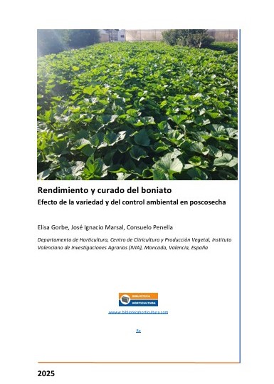 Rendimiento y curado del boniato